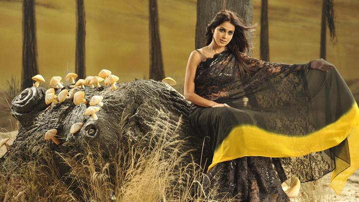 Genelia D’Souza Sitting Pose In Naa Ishtam